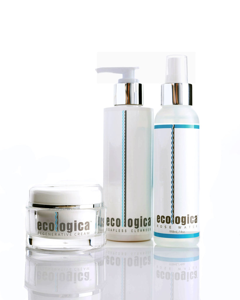 Daily Skin Care Essentials - ecologica Skincare of Malibu